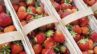 Promocje na truskawki i maliny. Sklepy kontra bazary – kto wygrywa ceną?
