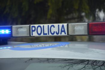62-latek zabił kobietę i zawinął ciało w dywan. Wracał, by karmić psy ofiary