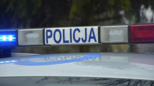 62-latek zabił kobietę i zawinął ciało w dywan. Wracał, by karmić psy ofiary