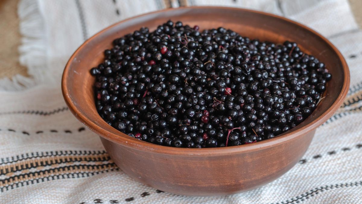 Zdrowie w małych owocach. Naturalne wsparcie odporności i metabolizmu