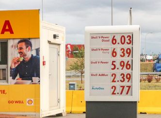 Ceny paliw na Wszystkich Świętych. Diesel droższy od benzyny, do końca roku lepiej nie będzie