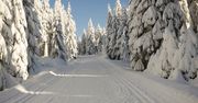 - 19,5 stopni w Jakuszycach i - 13 stopni w Jeleniej Górze było dzisiaj (6.01) o poranku. Zapowiada się słoneczny, ale mroźny dzień