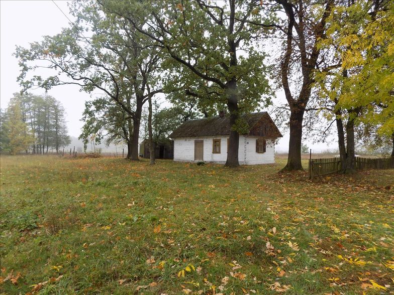 Ten dom można kupić za mniej niż 100 tys. zł