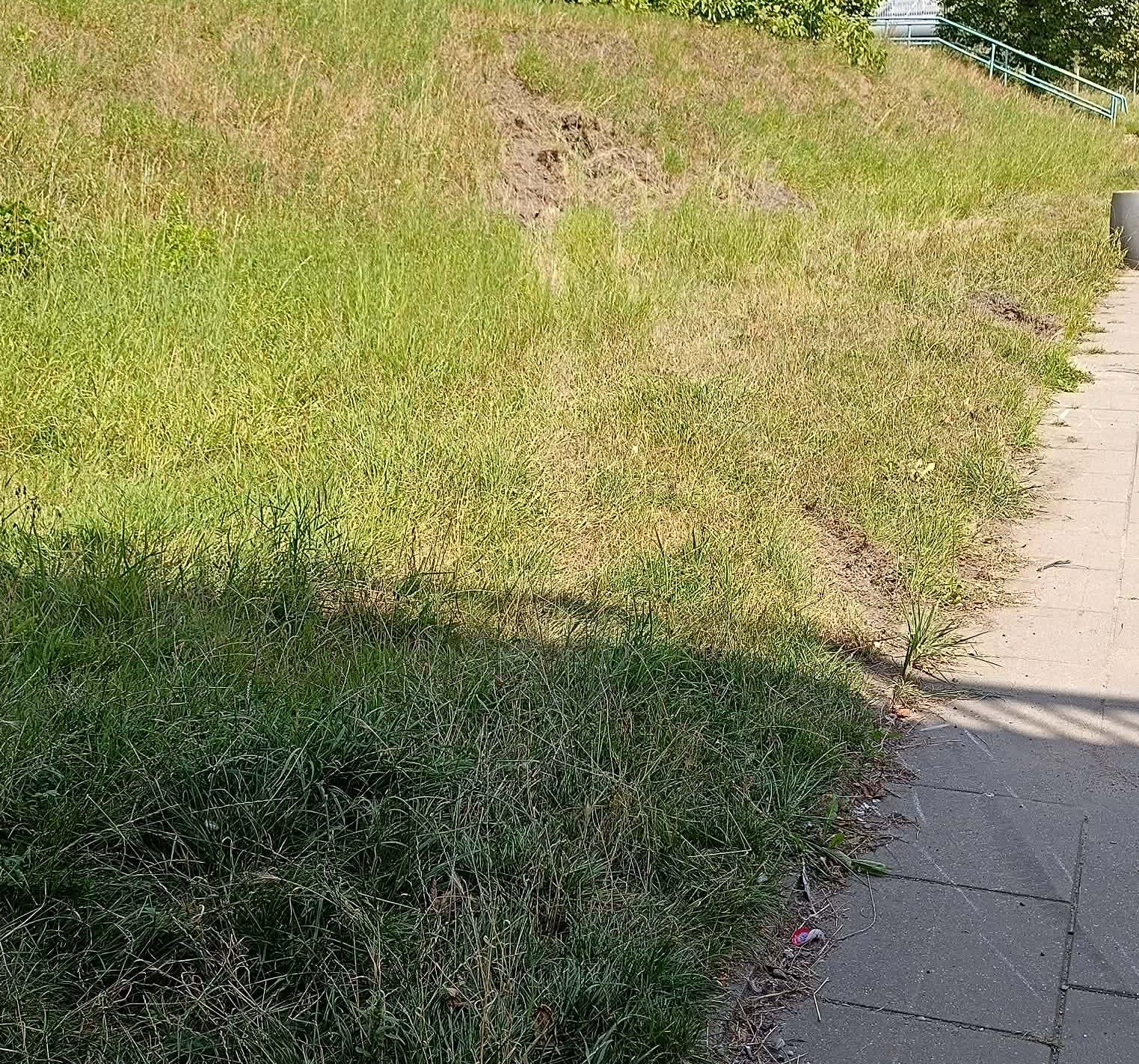 Hubert B. przejechał przez chodnik i wylądował na trawniku