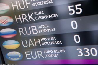 Kantory nie chcą hrywien. Czas na unijny skup ukraińskiej waluty