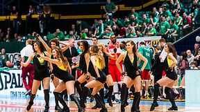 Cheerleaders Wrocław na meczu Śląska z Rosą Radom
