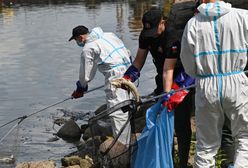 Miażdżący raport. Rząd zawinił ws. skażenia Odry