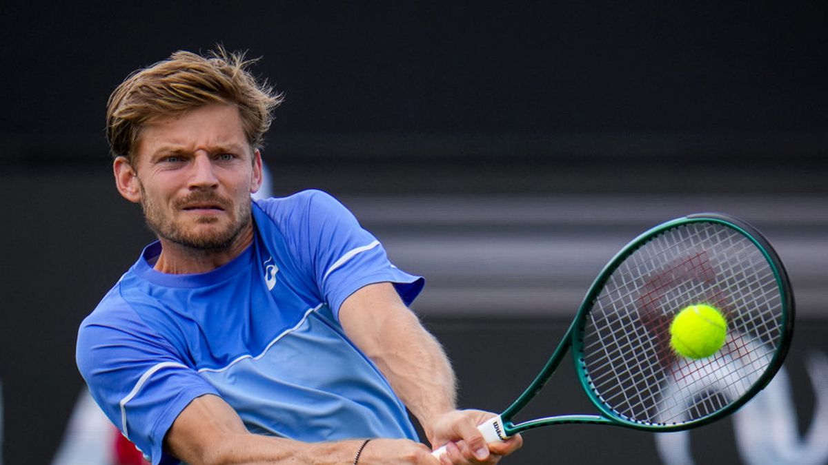 Getty Images / Rene Nijhuis/BSR Agency / Na zdjęciu: David Goffin