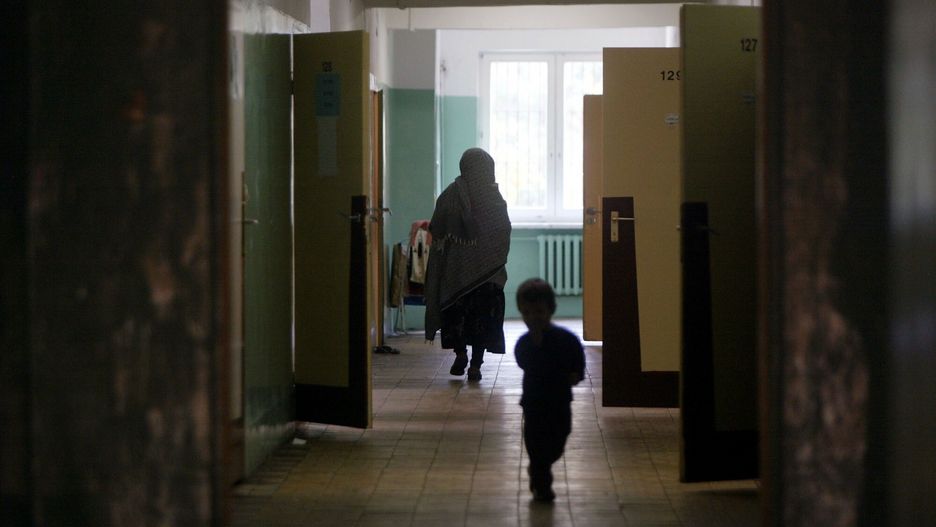 Afgańskie dzieci zatruły się grzybami. Andrusiewicz: Dementuję informację o śmierci chłopca 