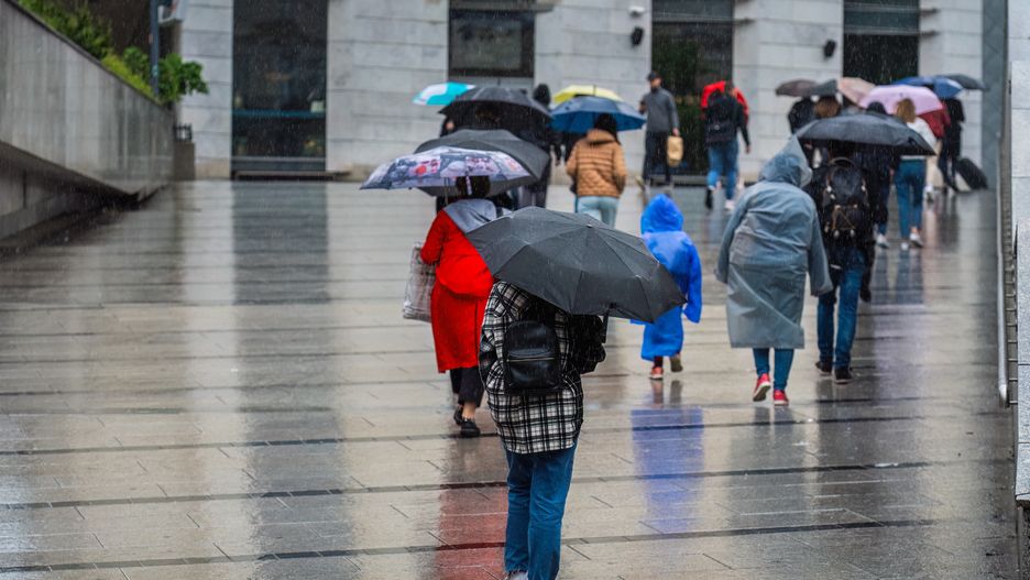 Authentic young man and girl with hoods without umbrellas walk in the rain along the city street against the background of a crowd of citizens with umbrellas, soaked passers-by on the city street. Copy space
Authentic passers-by with and without umbrellas, with raincoats, walk in the rain along the city street, rainy day on the city street, reflections of wet passers-by on the wet road. Copy space
Oleksandr Bochkala
people, citizens, background, city, cloak, cold, crowd, day, dress, drive, drop, female, fun, group, human, infrastructure, life, lifestyle, man, motion, operations, outdoor, overcast, person, poland, rain, road, route, running, shelter, society, storm, street, stress, summer, town, traffic, transportation, umbrella, under, urban, wait, walk, walker, way, weather, wet, woman, young, copy space, people, citizens, background, city, cloak, cold, crowd, day, dress, drive, drop, female, fun, group, human, infrastructure, life, lifestyle, man, motion, operations, outdoor, overcast, person, poland, rain, road, route, running, shelter, society, storm, street, stress, summer, town, traffic, transportation, umbrella, under, urban, wait, walk, walker, way, weather, wet, woman, young
