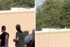 Chwile grozy na nagraniu. Świadkowie nagrali strzelca