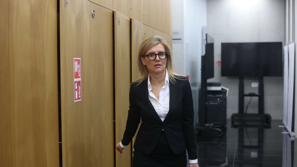 Sejmowa komisja ?ledcza w sprawie Pegasusa
08.10.2024 Warszawa Sejm Posiedzenie Komisji Sledczej ds. Pegasusa przesluchanie Ewy Wrzosek, fot Tomasz Jastrzebowski/REPORTER
N/z: Ewa Wrzosek
Tomasz Jastrzebowski/REPORTER