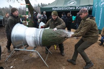 Choinka od Lasów Państwowych. Mówią, skąd pochodzą drzewka w supermarketach