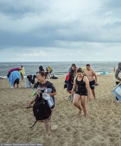 Dziki na plaży w Gdańsku. Popłoch wśród plażowiczów