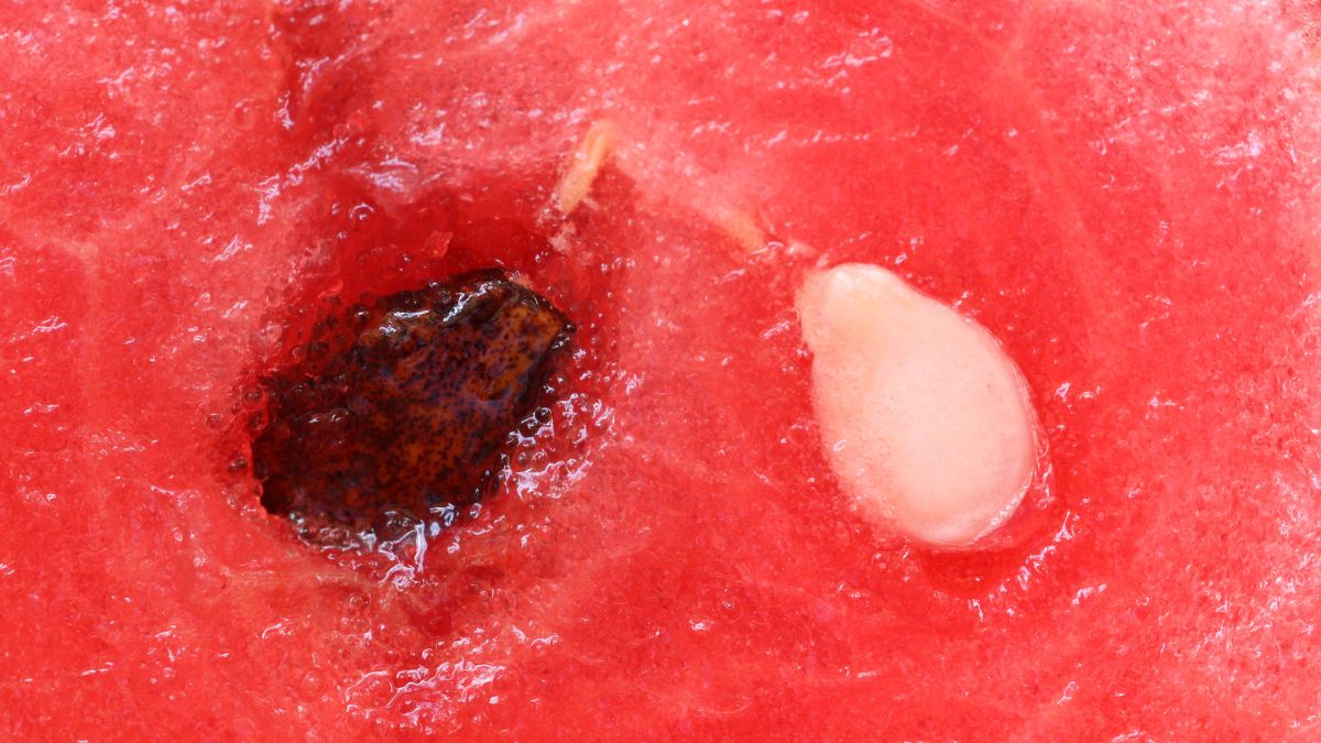 Pestki arbuza - zdrowe, czy szkodliwe?