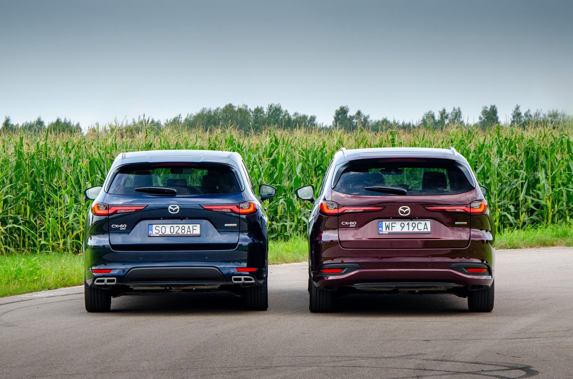 Mazda CX-60 vs. Mazda CX-80