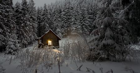 Epic Winter Sale: zimowa wyprzedaż na CDP.pl właśnie się rozpoczęła