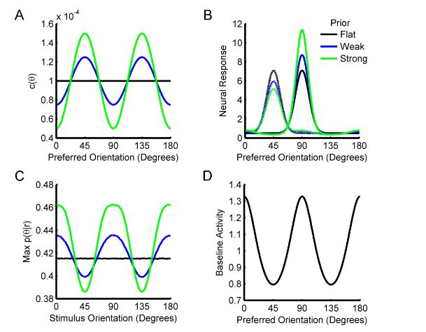 Rozpoznawanie linii u ludzi zdrowych i autyków (górny rząd) oraz przez sztuczną sieć neuronową (dolny rząd)