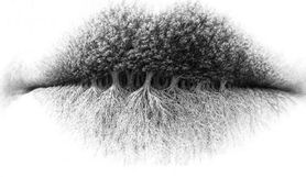 Usta, korony drzew czy korzenie? Co widzisz na obrazku? Psychologiczny test obrazkowy