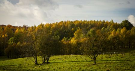Turyści zatykają zielone płuca odpadami. Koszty ponoszą mieszkańcy