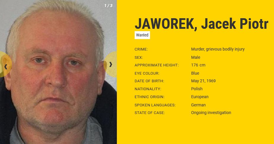 jaworek