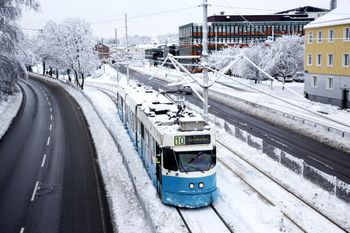 Atak zimy. Zamiast tramwajów mieszkańcy korzystają z nart biegowych
