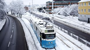 Atak zimy. Zamiast tramwajów mieszkańcy korzystają z nart biegowych