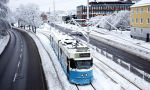 Atak zimy. Zamiast tramwajów mieszkańcy korzystają z nart biegowych