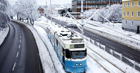 Atak zimy. Zamiast tramwajów mieszkańcy korzystają z nart biegowych