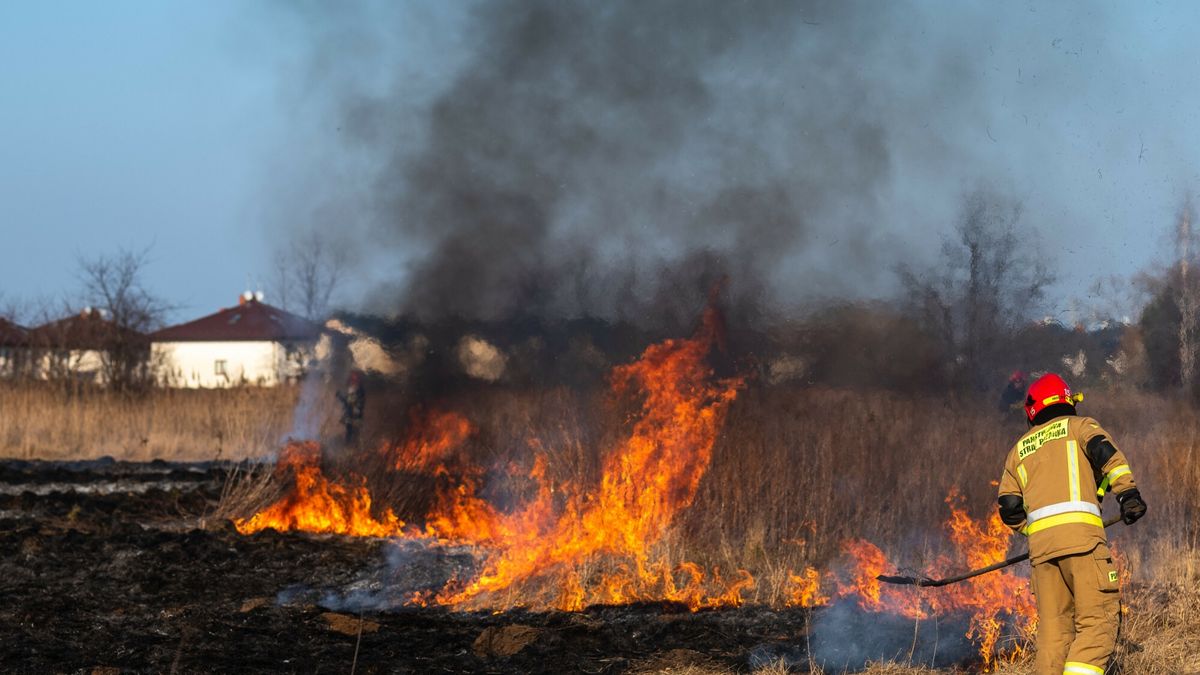 Nawet 30 tys. zł kary