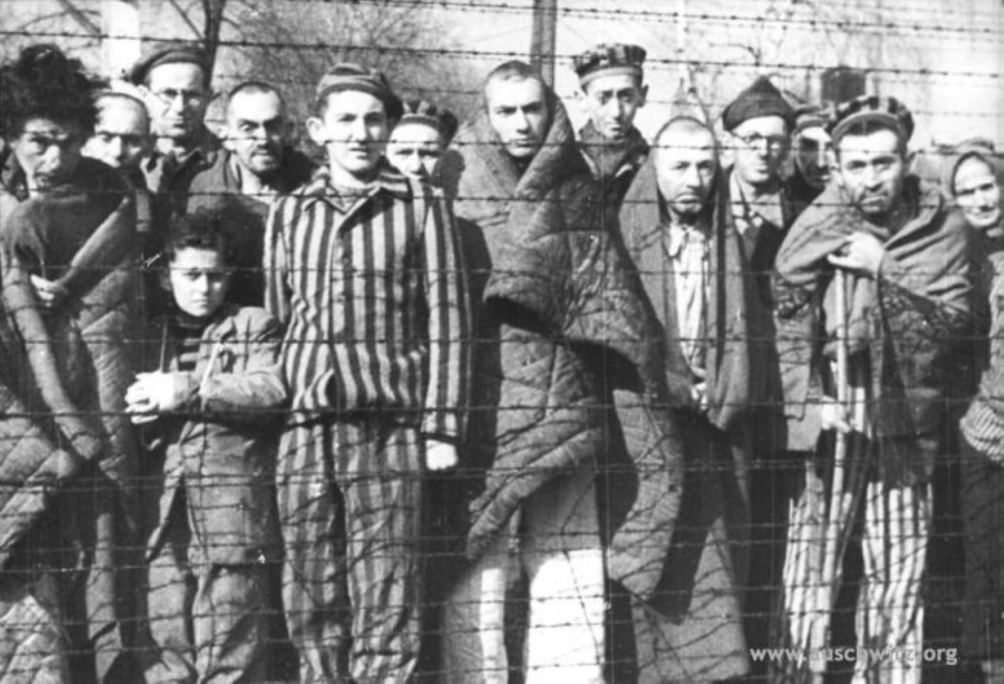 Niemieccy jeńcy odwracali wzrok. Wstrząsające obrazy z Holokaustu 8