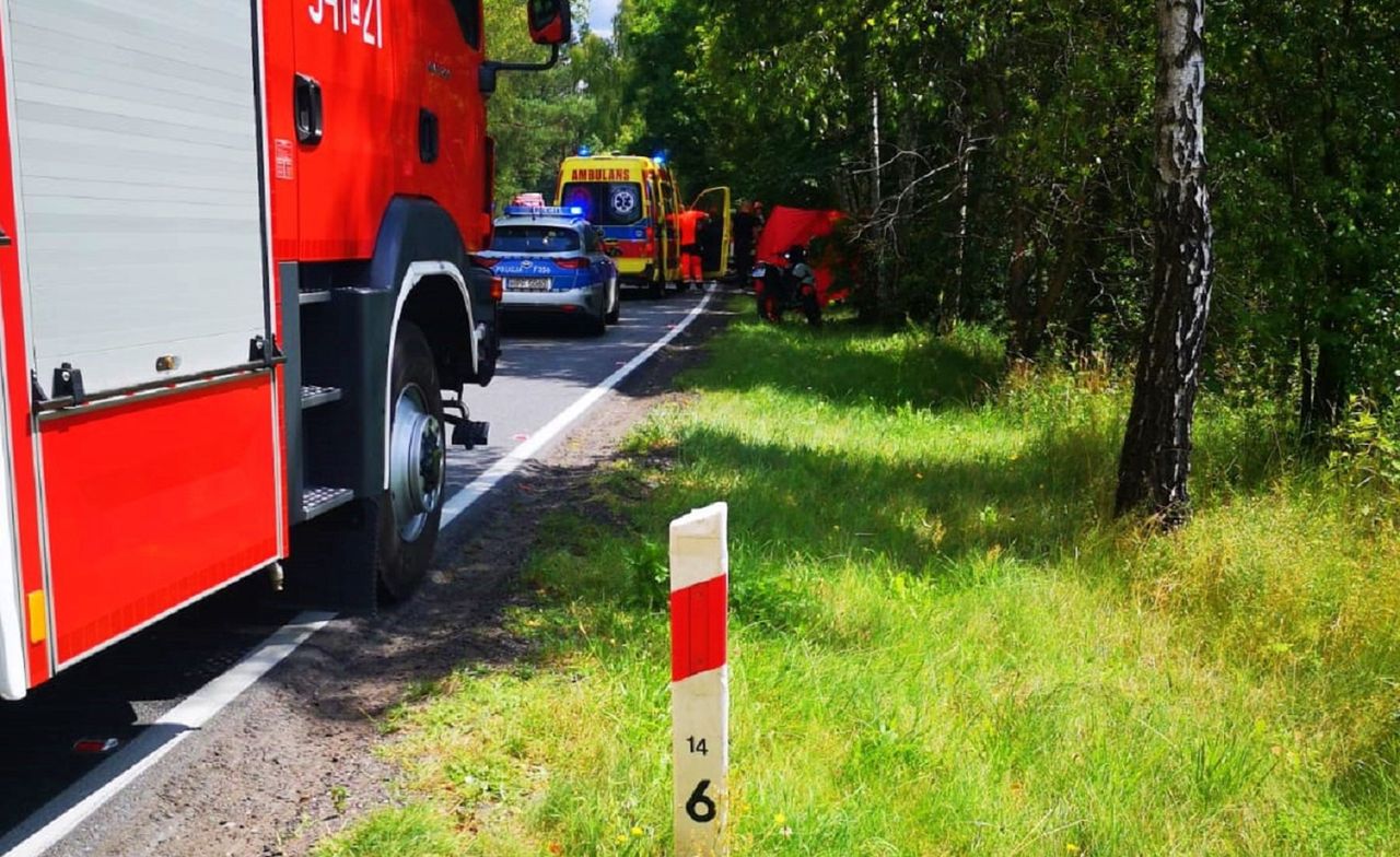 Teofilów. Śmiertelny wypadek na DK 48. Motocyklista wjechał w drzewo