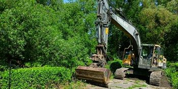 Białośliwie: Ciężki sprzęt w Parku Raczyńskich