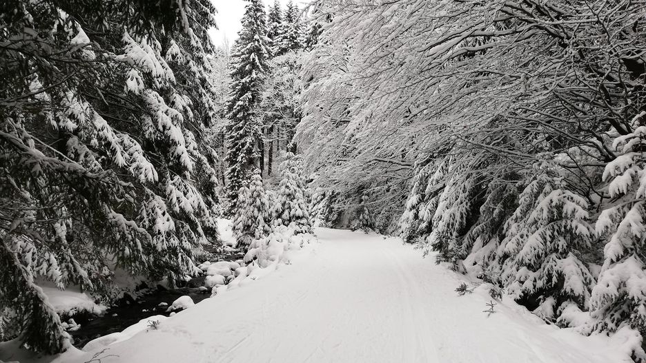 Karkonosze. Piękna zima bywa również niebezpieczna. Trudne warunki w górach