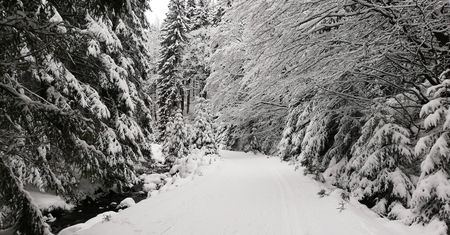 Karkonosze. Piękna zima bywa również niebezpieczna. Trudne warunki w górach