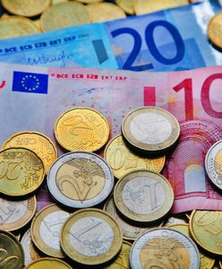 Wejście do strefy euro korzystne dla Polski? "Zdania są podzielone"