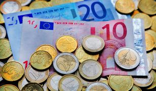 Wejście do strefy euro korzystne dla Polski? "Zdania są podzielone"