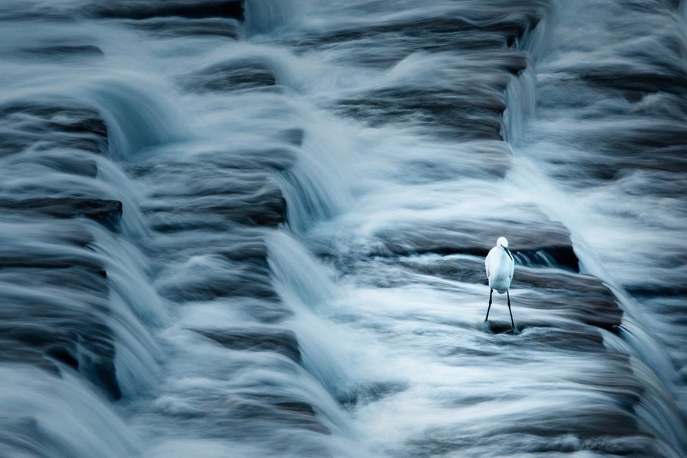 Ponad 80 tys. zdjęć pokazujących szczęście zgłoszono do konkursu Hamdan International Photography Awards. Oto najlepsze z nich 12
