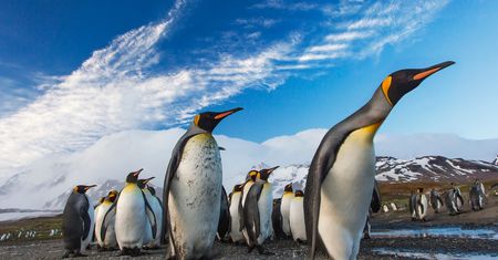 Windows 10 i WSL2: Jądro Linux będzie aktualizowane przez Windows Update