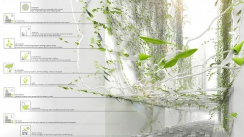 Bio-City – biomiasto po polsku 1