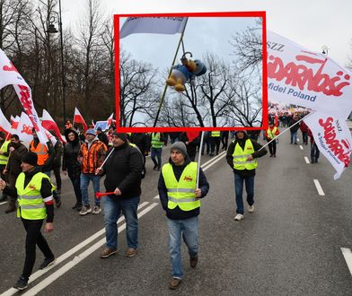 Rolnicy powiesili Kaczora Donalda