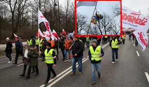 Rolnicy powiesili Kaczora Donalda