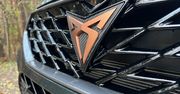 Ateca i Leon z tribalem na grillu. Cupra zaczynała jako "farbowany" Seat