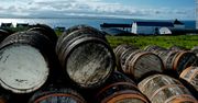 Chcą wytwarzać prąd z whisky