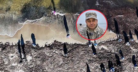 Wylegli na plaże. Przegrzebują zwały glonów na brzegu morza