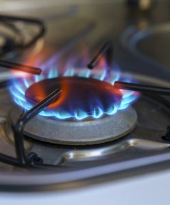 Na Podlasiu podepną się pod ważną inwestycję. Oto skąd popłynie gaz