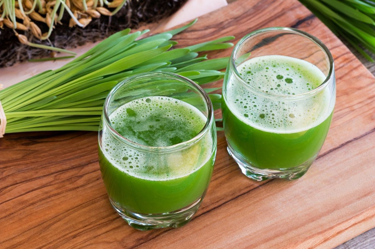 Boost your vitality with young barley: Nature's green elixir