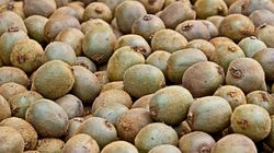 Owoc, który działa jak naturalny regulator trawienia. Pomoże uporać się z zaparciami