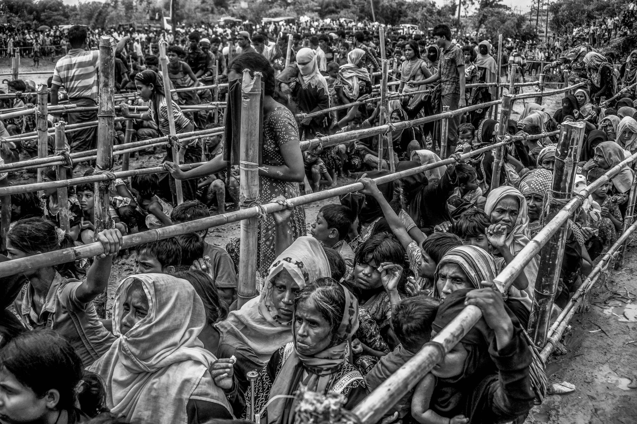 Znamy zwycięzców Sony World Photography Awards. Polak na III miejscu! 13