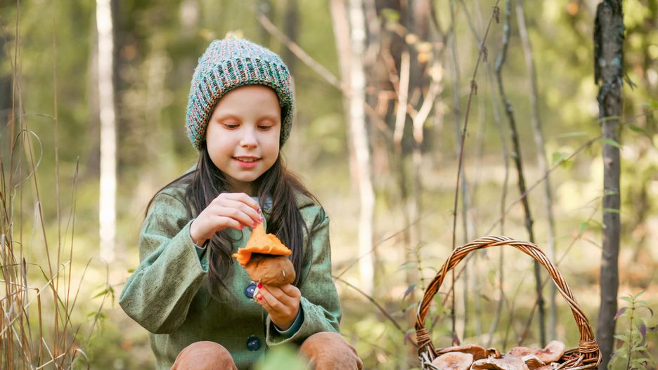 Czy dzieci mogą jeść grzyby? Specjaliści ostrzegają